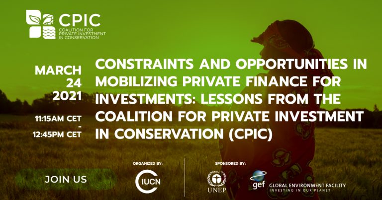Social Meida CONSTRAINTS ANDO PPORTUNITIES IN MOBILIZING PRIVATE FINANCE FOR INVESTMENTS